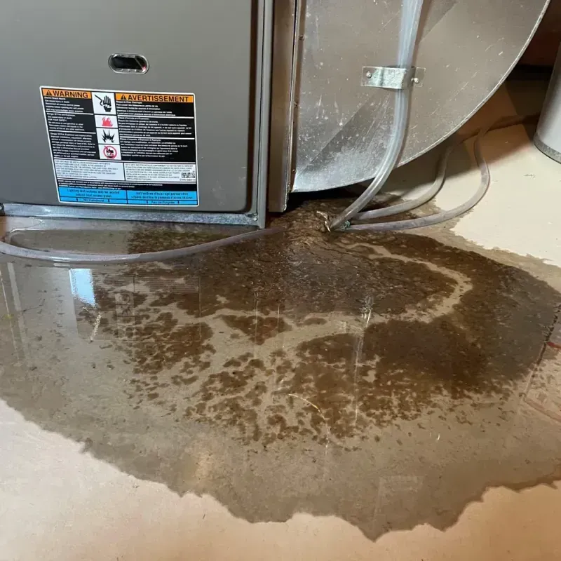 Appliance Leak Cleanup in Bartlett, TN